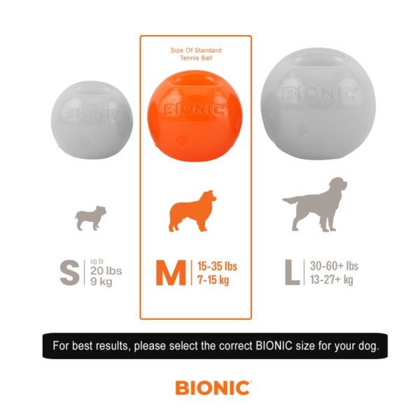 BIONIC Ball - The Bark Side