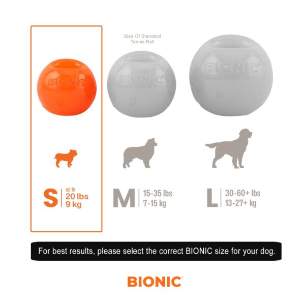 BIONIC Ball - The Bark Side