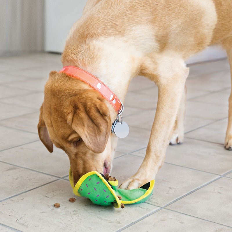 KONG Ballistic Hide n Treat Toy For Dogs And Puppies - Large - The Bark Side