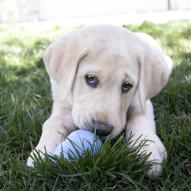 KONG Puppy - The Bark Side