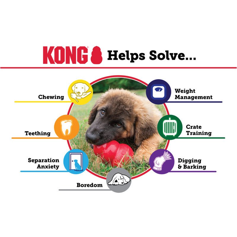 KONG Senior - The Bark Side