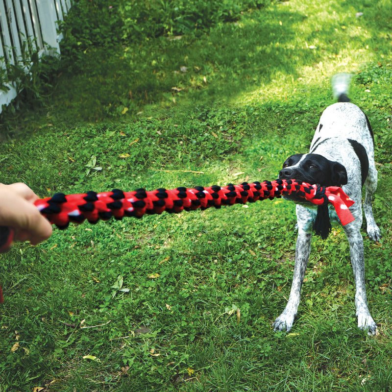 KONG Signature Dual Knot Rope - The Bark Side